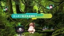 野生菌爆料视频播放,视频揭秘菌类世界奇观 第2张 野生菌爆料视频播放,视频揭秘菌类世界奇观 第2张